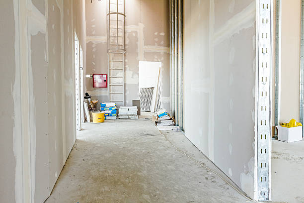 Professional Mold Removal in Rochester Institute Of Technology, NY